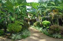 Hébergement Australie - Bay Village Tropical Retreat