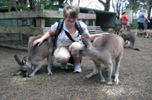 Parc Animalier de Featherdale, Nouvelle Galles du Sud, Australie