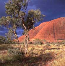 Kata Tjuta, Territoire du Nord, Australie