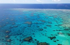 Grande Barrire de Corail, Queensland, Australie
