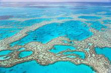 Grande Barrière de Corail, Queensland, Australie