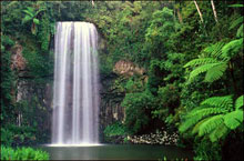 Milla Milla Falls, Queensland, Australie