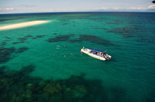Ocean Safari, Grande Barrire de Corail, Australie
