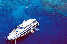 Osprey V, Grande Barrière de Corail, Queensland, Australie Osprey V, Grande Barrière de Corail, Queensland, Australie