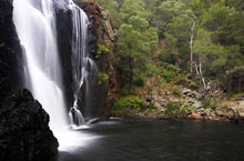 McKenzie Falls, Victoria, Australie