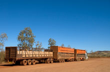 Camion de btail, Australie de l'Ouest, Australie