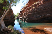 Karinjini National Park, Australie de l'Ouest, Australie