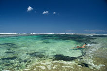 Ningaloo Reef, Australie de l'Ouest