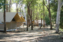 Imintji Wilderness Camp, Kimberleys, Australie