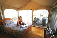 Hébergement Australie - Jabiru Safari Lodge - Atherton Tablelands