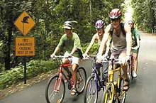 Randonnée en vélo, Atherton Tablelands, Queensland, Australie