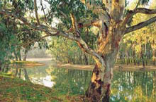 Murray River, Australie du Sud, Australie