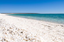 Shell Beach, Australie de l'Ouest