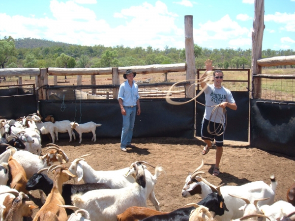 Kroombit Cattle Station