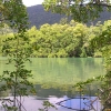 Daintree Rainforest