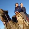 Outback Camel Farm