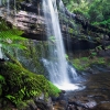 Mt Field National Park