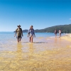 Abel Tasman National Park