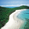 Cape Tribulation