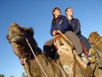 Outback Camel Farm