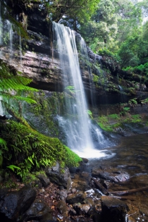 Mt Field National Park