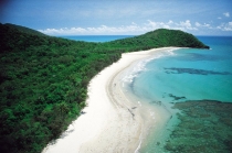 Cape Tribulation