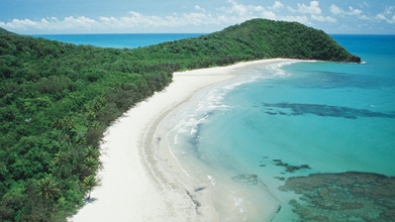 Adventure Tours Australia: 1 Day Cape Tribulation 'Go Wild' Tour